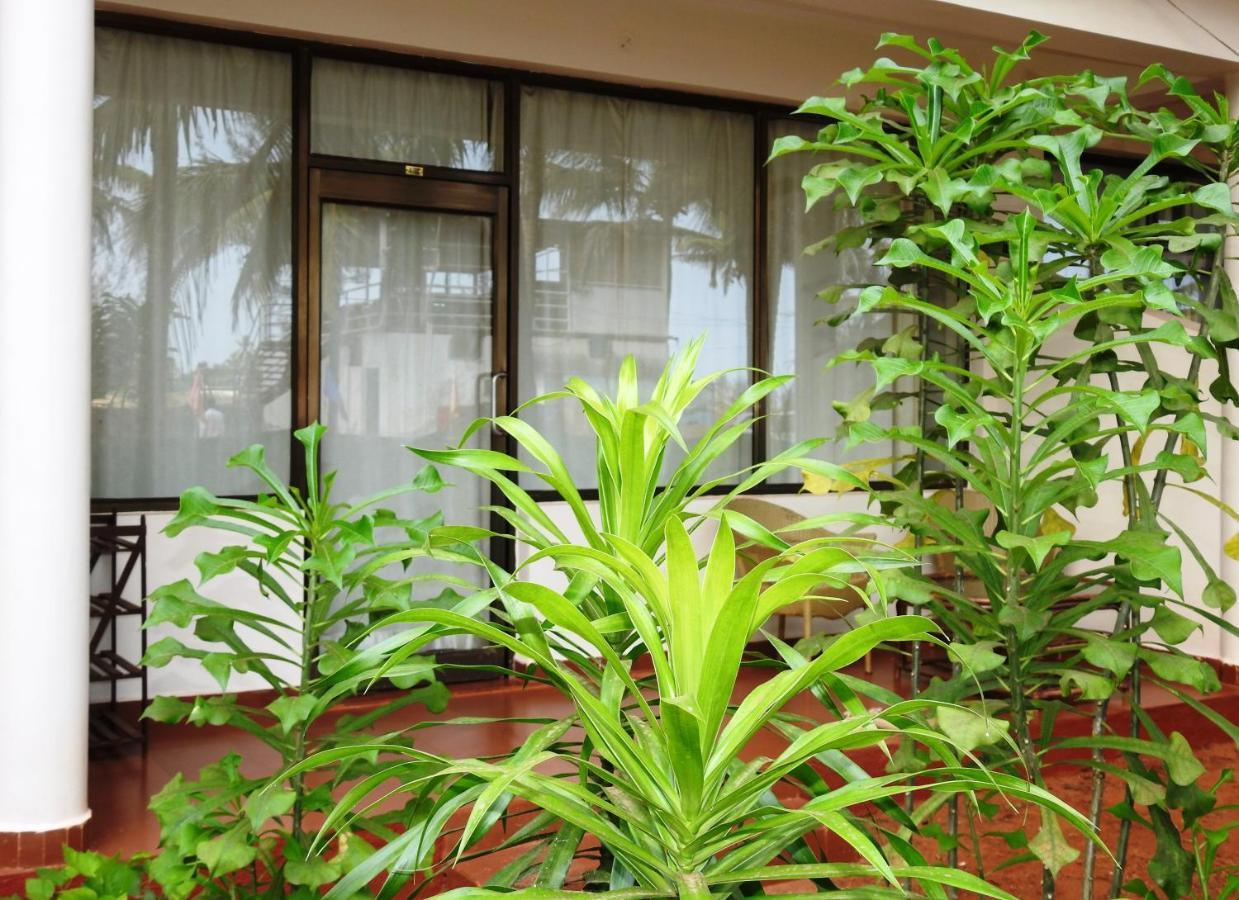 Am Hotel Kollection- Ivy, Morjim Exterior foto