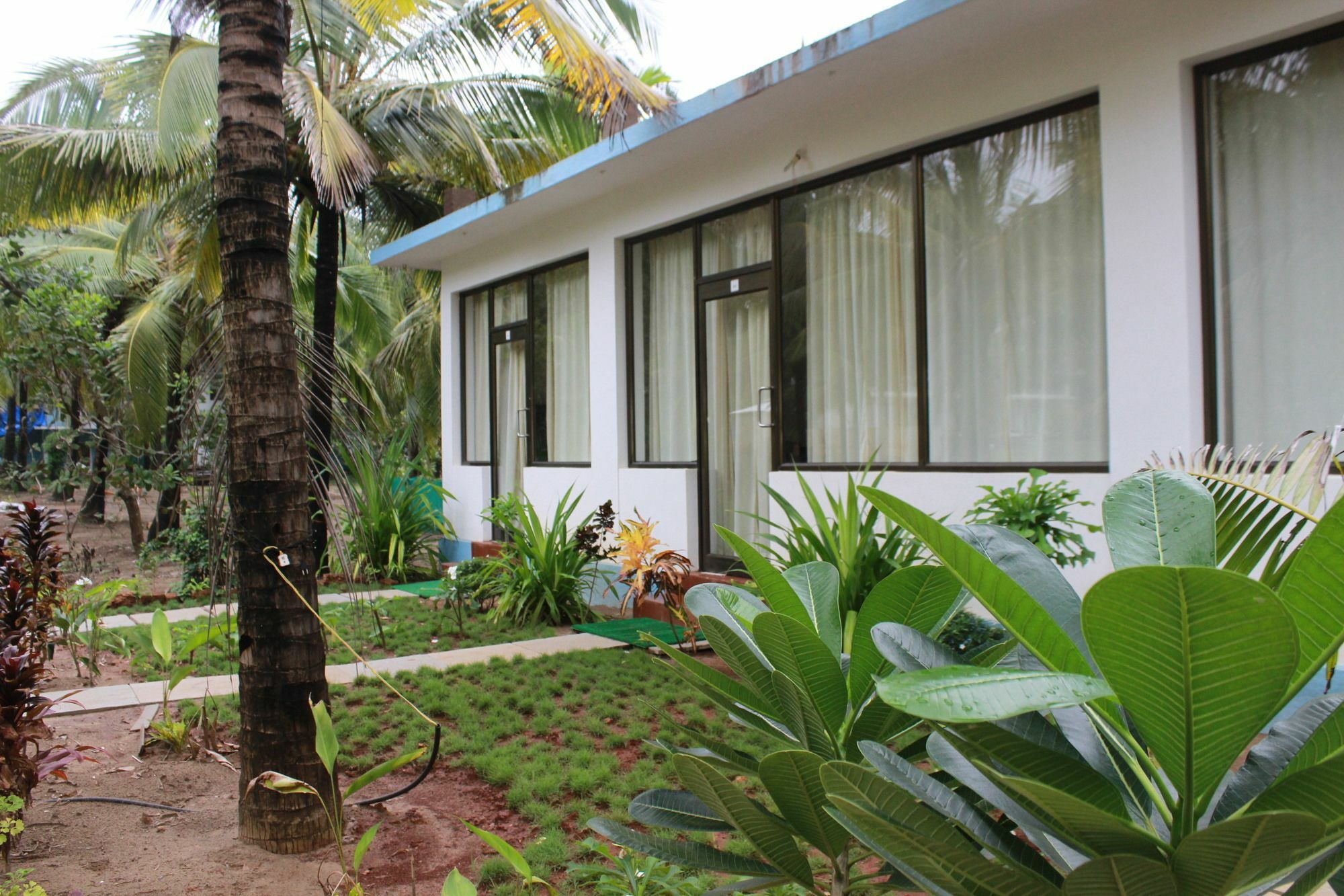Am Hotel Kollection- Ivy, Morjim Exterior foto